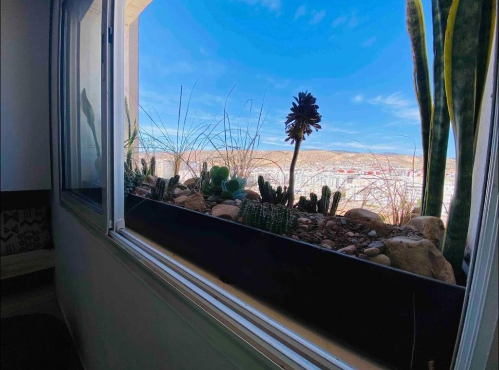Sun Rise Islan Appart Appartement Agadir Buitenkant foto